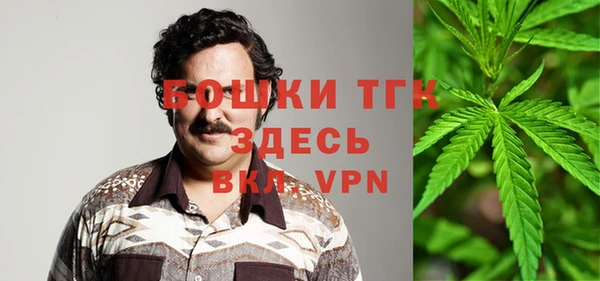 ГАЛЛЮЦИНОГЕННЫЕ ГРИБЫ Алзамай