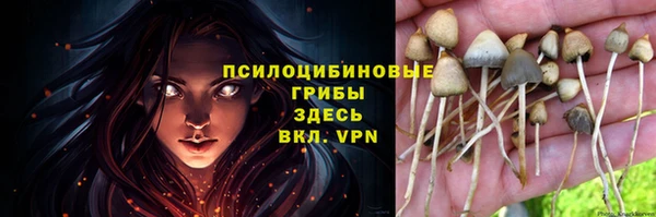 ГАЛЛЮЦИНОГЕННЫЕ ГРИБЫ Алзамай