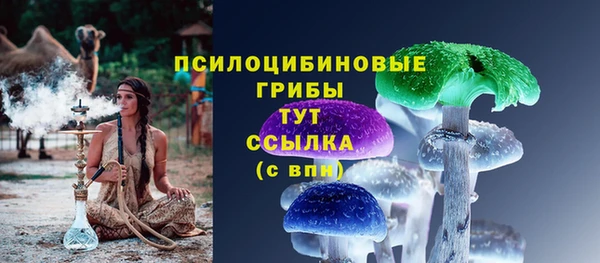 дживик Алексин