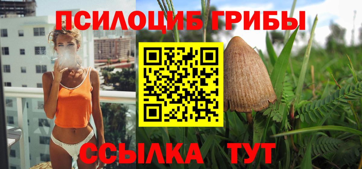 Псилоцибиновые грибы MAGIC MUSHROOMS Качканар