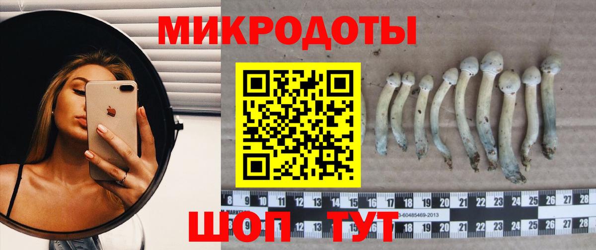 Псилоцибиновые грибы MAGIC MUSHROOMS  Вход с VPN  Качканар 